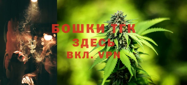 крисы Бородино