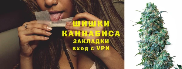 крисы Верея