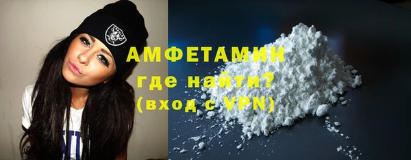крисы Бородино