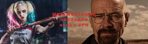 крисы Бородино