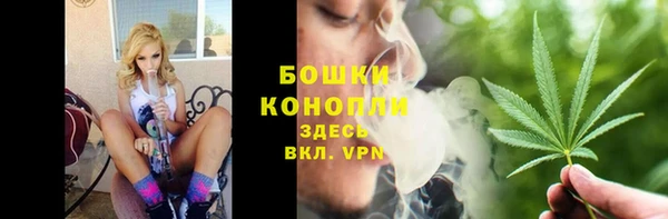 крисы Бородино