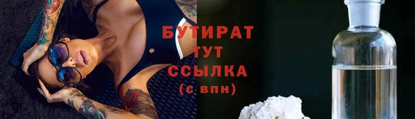 крисы Бородино