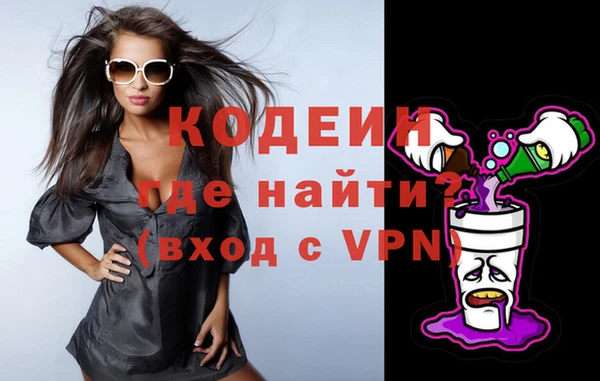крисы Бородино