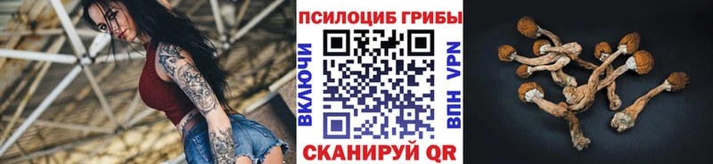 Псилоцибиновые грибы GOLDEN TEACHER  Губкинский 